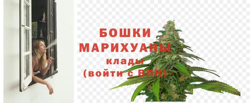 где купить   Вилюйск  Шишки марихуана OG Kush 